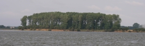 Nordufer im Strelasund